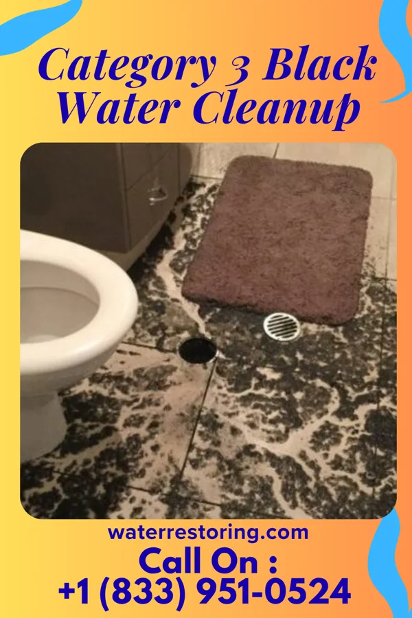 Category 3 Black Water Cleanup in Burton, MI