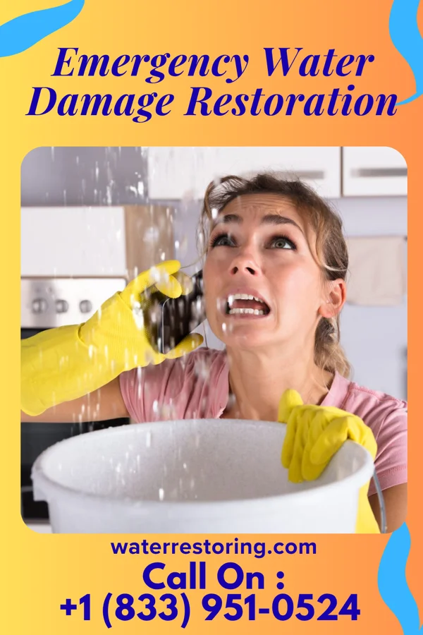 Emergency Water Damage Restoration in Burton, MI