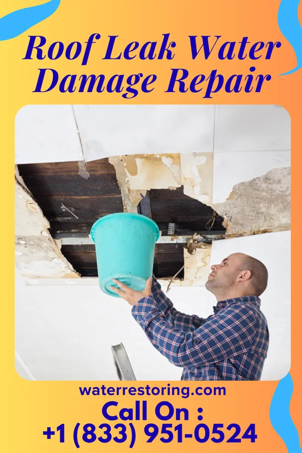Roof Leak Water Damage Repair in Burton, MI