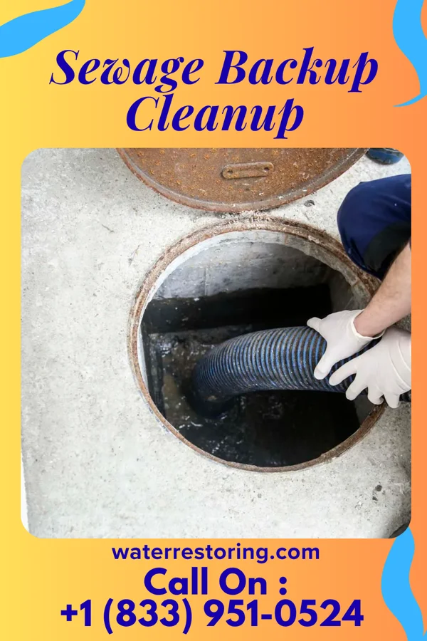 Sewage Backup Cleanup in Burton, MI